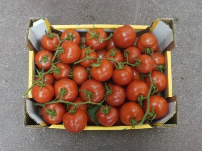 Foto Pomodoro Grappolo Origine Italia Marchio Piu Gusto    3